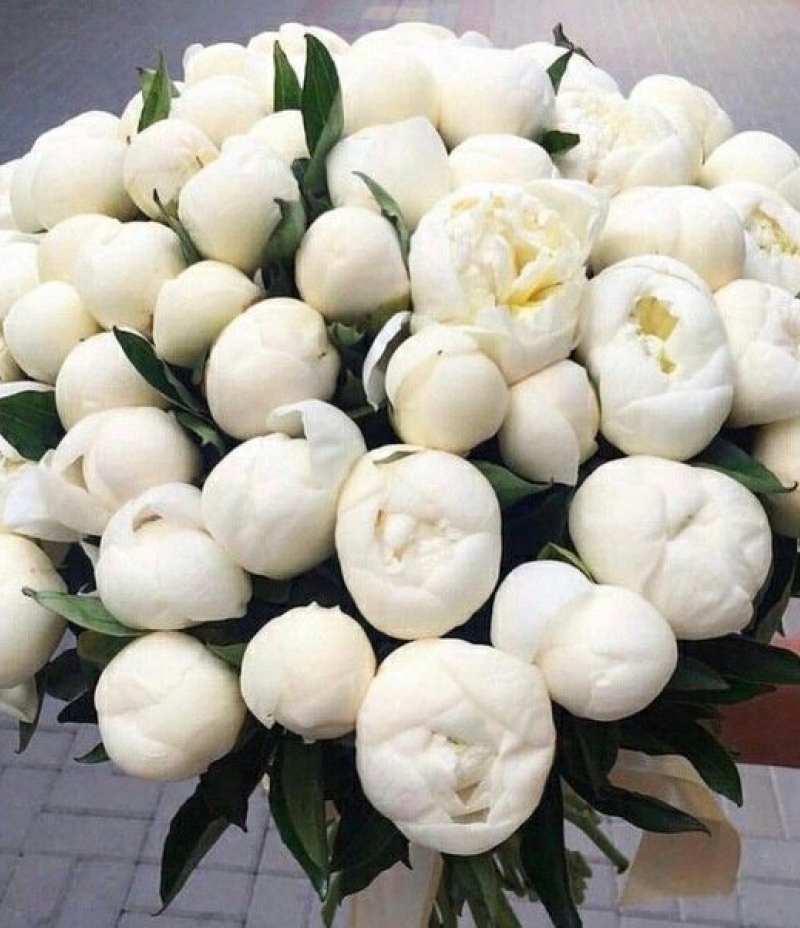 Saf Zarafet – Beyaz Şakayık Buketi