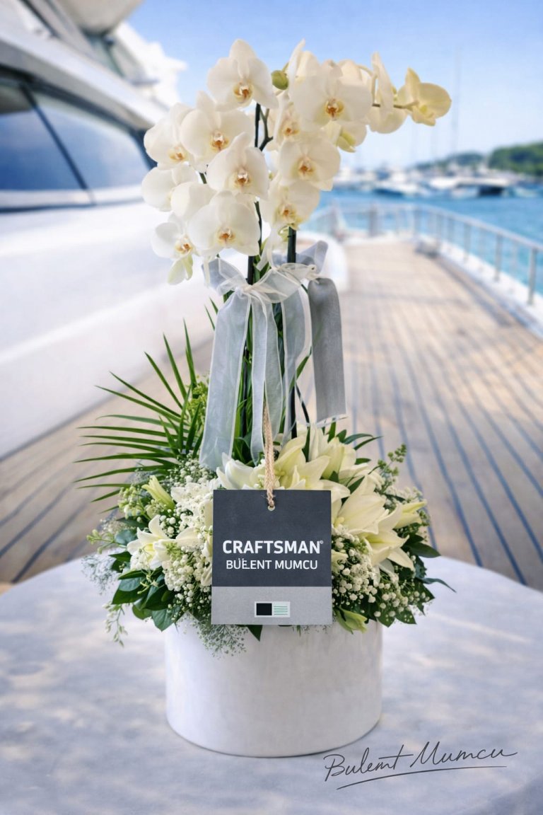 Beyaz Orkide Ve Aranjman Tasarımı 